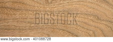 background and texture of wood venner - walnut tree, panoramic web banner