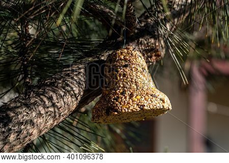 Bell From Various Grains, A Delicacy For All The Birds In The Garden