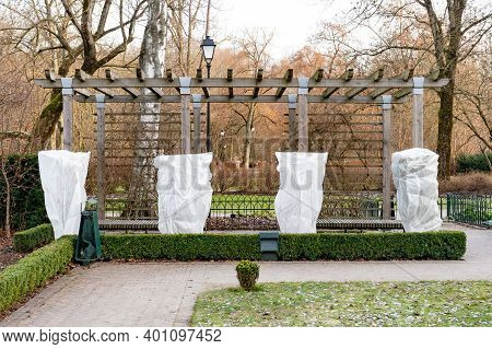 Plants And Trees In A Park Or Garden Covered With Blanket, Swath Of Burlap, Frost Protection Bags Or