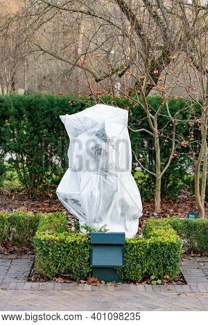 Plants And Trees In A Park Or Garden Covered With Blanket, Swath Of Burlap, Frost Protection Bags Or