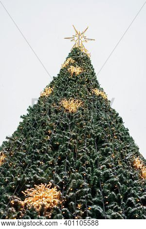 Decorated Spruce In The City. Decorated Top. ... Winter Has Come Concept. Happy New Year Greetings. 