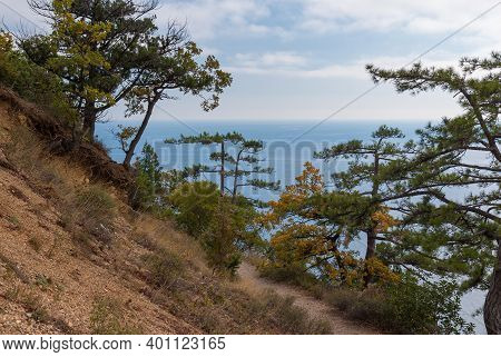 Fall Landscape With Rocky Slope Overgrown With Oaks And Pines In Natural Reserve On Cape Martyan  On