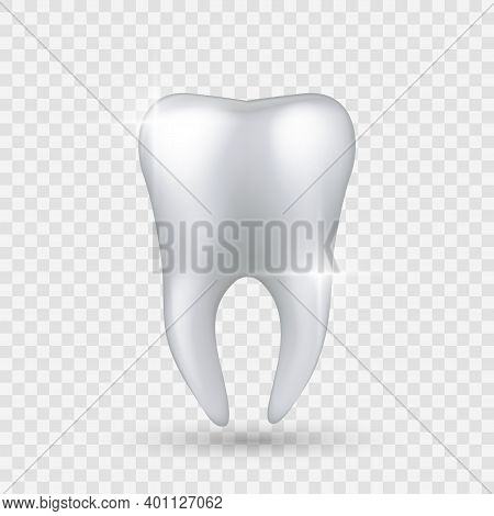 Shiny Tooth. Realistic Healthy Clear White Tooth Isolated On Transparent Background, Enamel Whitenin