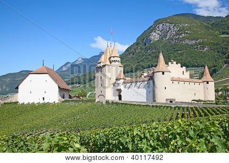 Slavný zámek Chateau hnízdo v kantonu Vaud, Švýcarsko