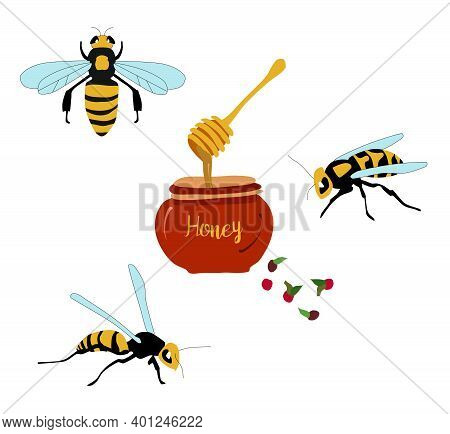 Honey Jar And Bee Bumble Bees Wasps Doodle Poster.cute Wooden Honey Dipper Hand Drawn Vector Illustr