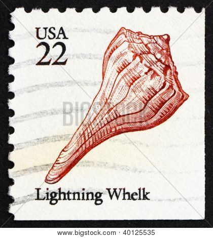 Postage Stamp Usa 1985 Lightning Whelk, Sea Snail