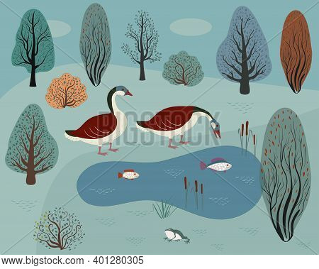 Two Wild Geese On A Forest Lake. Autumn Forest And Lake With Fish.