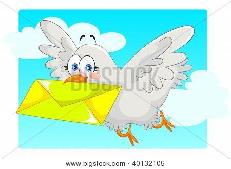 homing pigeon