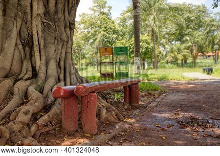 Cassilandia, Mato Grosso Do Sul, Brazil - 12 24 2020: Park Bench In The Shade Of A Fig Tree With Sel