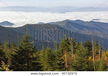 Podzimní listí v regionu Smoky Mountains
