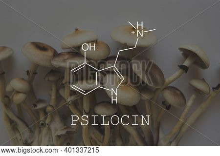 Psilocin Psychedelic Formula. Psychoactive Natural Drug. Recreational Use Of Psilocybin Mushrooms.