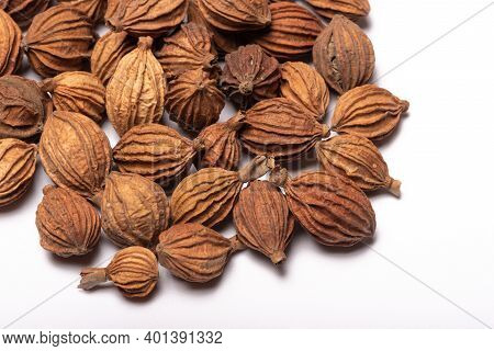 Heap Of Amomum Villosum Lour Dried Fruit On A White Background