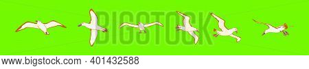 Set Of Albatross Bird Cartoon Icon Design Template With Various Models. Modern Vector Illustration I