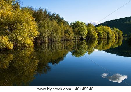 Riverbank trægrænsen og floden refleksion