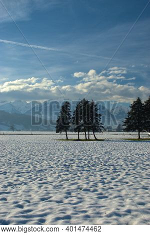 Winter Landscape Scenery In Ruggell In Liechtenstein 17.12.2020