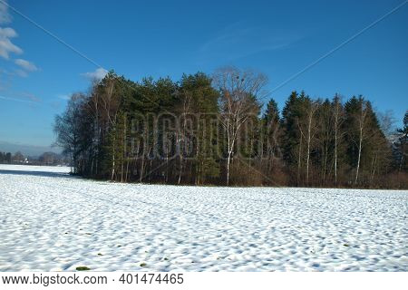 Winter Landscape Scenery In Ruggell In Liechtenstein 17.12.2020