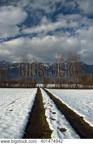 Winter Landscape Scenery In Ruggell In Liechtenstein 17.12.2020