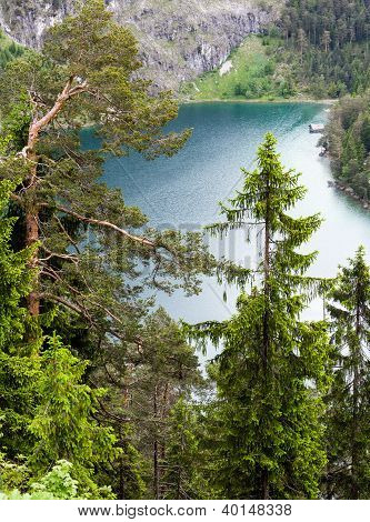 Plansee-Sommerlandschaft (Österreich).