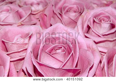 Rosor bukett