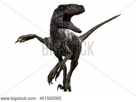 3D Rendering Dinosaur Deinonychus On White