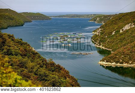 View Of The Oyster Farm In The Limski Fjord