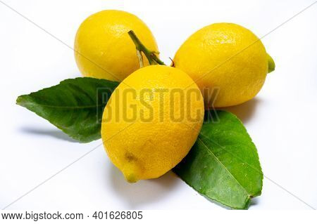 Fresh Ripe Yellow Italian Lemons With Leaf, New Harvest