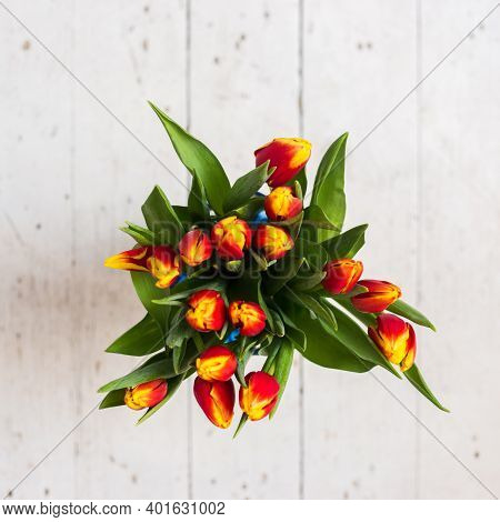 Beautiful Tseti Tulips On A Light Background
