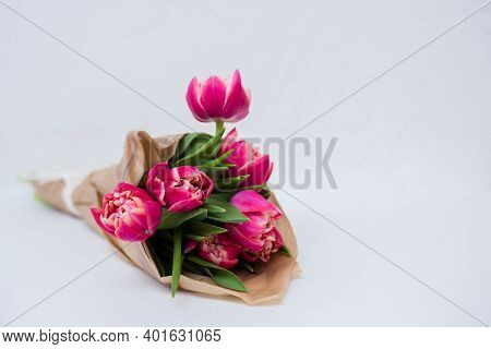 Beautiful Tseti Tulips On A Gray Background