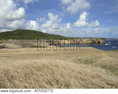 Caribbean Landscape With Vegetation, Volcanic Cliff And Waves Breaking Over Volcanic Rocks.savanna O