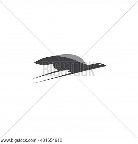 Flying Eagle Logo Bird Logo Design Template Vector