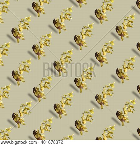 Potato Chips Falling Into A Plate, Colorful Repeating Pattern On A Colored Background.geometric Desi