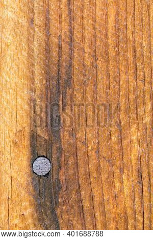 Closeup Of Wood Background With One Nail.