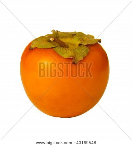 Persimmon