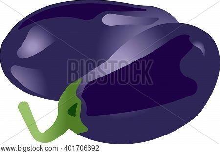 Purple Eggplants. Vector Illustration Isolated On White Background.