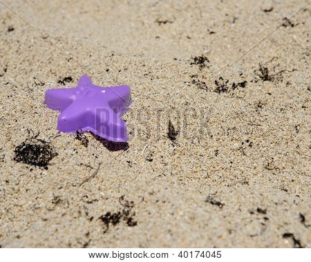 Purple Star on sandy