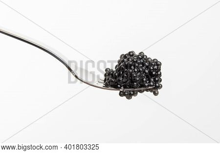 Fresh Grainy Black Paddlefish Caviar In Metal Fork On White Background, Close Up