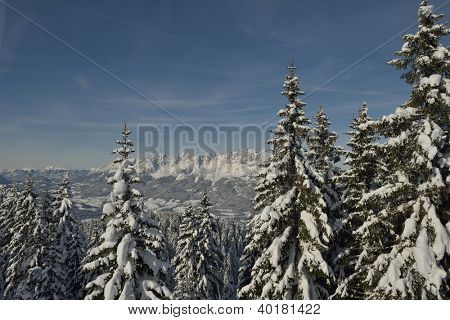 natura mountaint zimowy pejzaż z drzewa i śnieg świeży