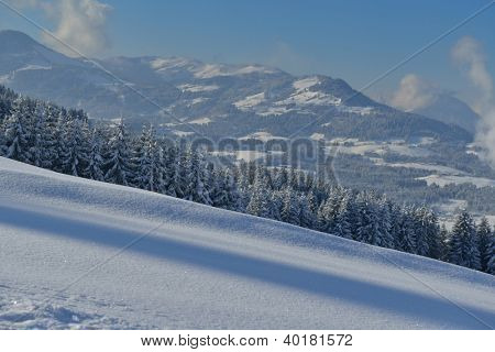 natura mountaint zimowy pejzaż z drzewa i śnieg świeży