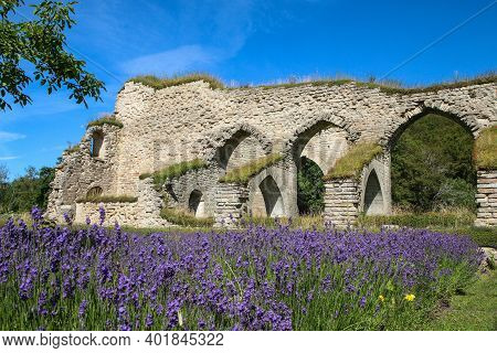 The Ruins Of The Old Cloister In Alvastra In Sweden During The Nice Summer Day. A Tourist Attraction