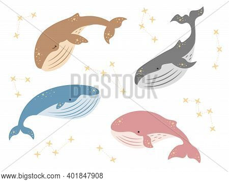 Vector Kids Dreamy Illustration. Whales Set With Stars And Constellations In Tender Colors. Baby Ani