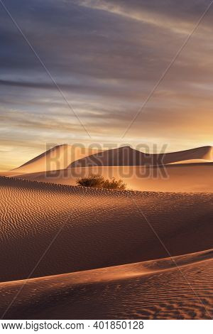 View Of Nice Sands Dunes During Sunset At Sands Dunes National Park