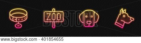 Set Line Dog, Collar With Name Tag, Zoo Park And Head. Glowing Neon Icon. Vector