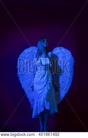 Valentines Day Cupid. Cute Cupid Girl. Valentine Day. Valentines Day. Night Angel. Valentines Angel 