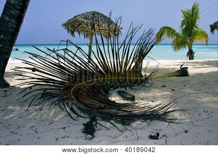 Republica Dominicana Beach