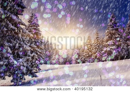 A frosty and sunny day is in mountains. Christmas abstract bokeh