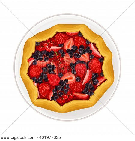 Fruit Tartlet With Jam Filling And Shortcrust As Sugary Dessert Rested On Plate Vector Illustration