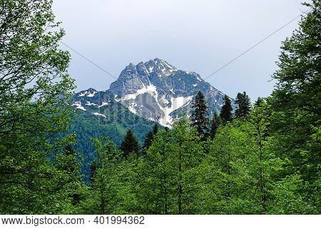 Abkhazia. Mountain Landscape. Rocky Mountain Tops Covered With Snow. Trees Grow Around The Mountains