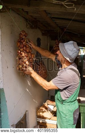 Man Inspercting Long Bunches Of Onions Suspended From The Ceiling. Agricultural Products, Farming, G