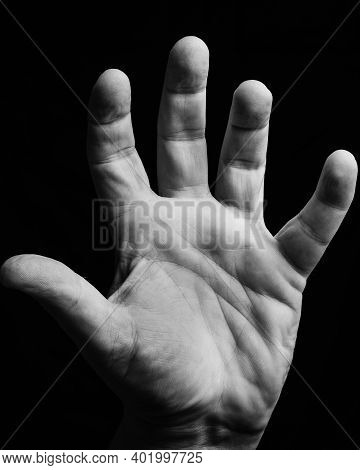 Black And White Photo Of The Five Fingers Of A Man With A Lot Of Texture In The Skin And The Lines O