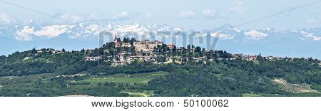 Langhe, Vineyards